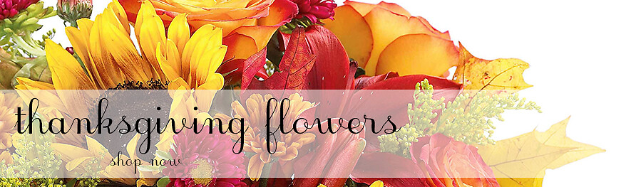 Thanksgiving Banner